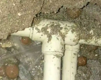 渝中测漏水多少钱