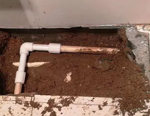 渝中测漏水哪家好