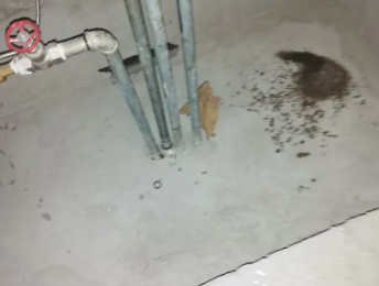 渝中卫生间测漏水价格明细