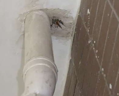 渝中漏水检测哪家好